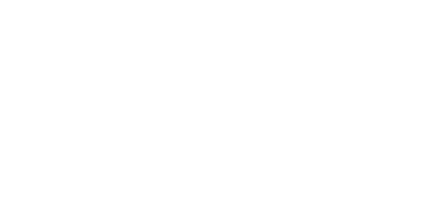 Orca